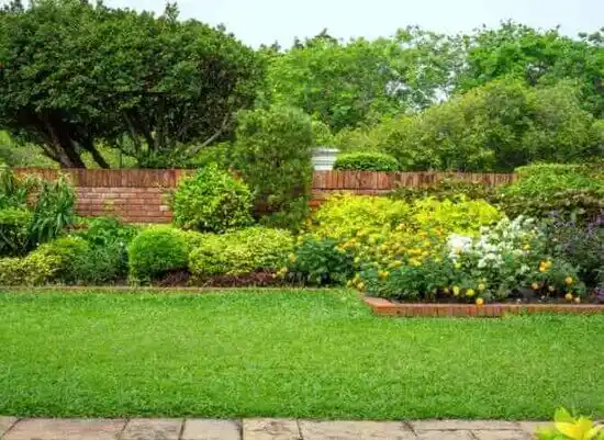 landscaping services Georgetown